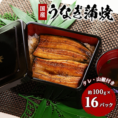 中遠加工場のうなぎ蒲焼　16食セット【配送不可地域：離島】【1414750】