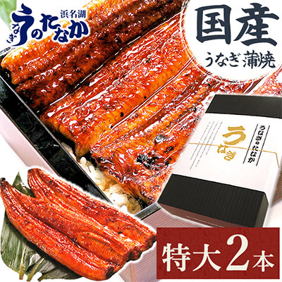 浜名湖・うなぎのたなかの長蒲2本ギフト!ふっくら柔らか♪国産うなぎ長蒲焼※合計360g程度【配送不可地域：離島】【1417592】