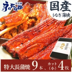 浜名湖・うなぎのたなかのふっくら柔らか国産うなぎ!どっさり山盛り!長蒲焼9本、カット(小)4枚【配送不可地域：離島】【1417598】