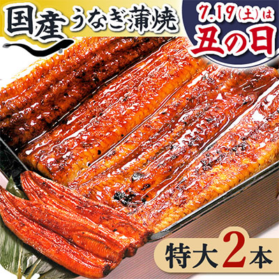 浜名湖・うなぎのたなかの長蒲焼2本セット!ふっくら柔らか♪国産うなぎ長蒲焼※合計360g程度【配送不可地域：離島】【1417614】