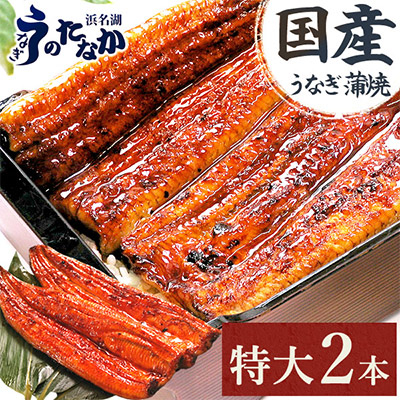 浜名湖・うなぎのたなかの長蒲焼2本セット!ふっくら柔らか♪国産うなぎ長蒲焼※合計360g程度【配送不可地域：離島】【1417614】