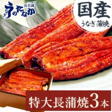 浜名湖・うなぎのたなかの長蒲焼3本セット!ふっくら柔らか♪国産うなぎ長蒲焼※合計540g程度【配送不可地域：離島】【1417629】