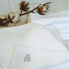 おうちの白タオル 10枚セット【1421805】