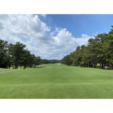 浜松シーサイドゴルフクラブ平日キャディ付ペアプレー券【1434105】