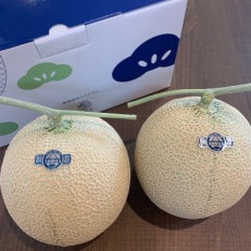 訳あり静岡温室マスクメロン2個入【配送不可地域：離島・北海道・沖縄】【1438410】