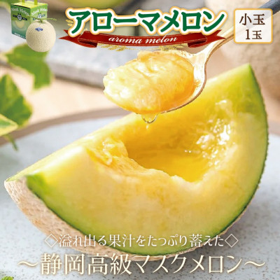 【通年出荷】アローマメロン(小玉)　1玉入【静岡高級マスクメロン】【配送不可地域：離島・北海道・沖縄】【1447102】