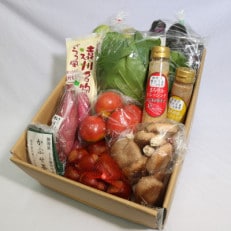 磐田産野菜とまろやかドレッシング「エゴマ」200ml×2本セット【配送不可地域：離島・北海道・沖縄・東北・中国・四国・九州】【1417689】