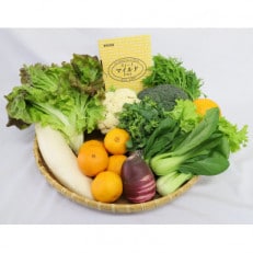 フルーツトマトと磐田産農産物の詰め合わせ【配送不可地域：離島・北海道・沖縄・東北・中国・四国・九州】【1418457】