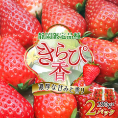 先行受付/2025年12月上旬発送開始!抜群の美味しさ!静岡限定:きらぴ香いちご 280g×2パック【配送不可地域：離島・北海道・沖縄・東北・中国・四国・九州】【1451174】