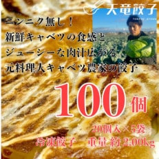 静岡発!キャベツの旨さを追及した【天竜餃子】手土産にも配りやすいパック入り/20個×5パック【配送不可地域：離島】【1511697】