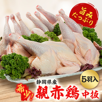 【希少!おやどり5羽入】親赤鶏中抜◆旨みたっぷりの親鳥をお届け!丸鶏を中抜きで丸ごと!骨付鳥にも◎【配送不可地域：離島】【1537506】