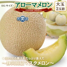 【通年出荷】アローマメロン(大玉)　2玉詰【静岡高級マスクメロン】【配送不可地域：離島・北海道・沖縄】【1541722】