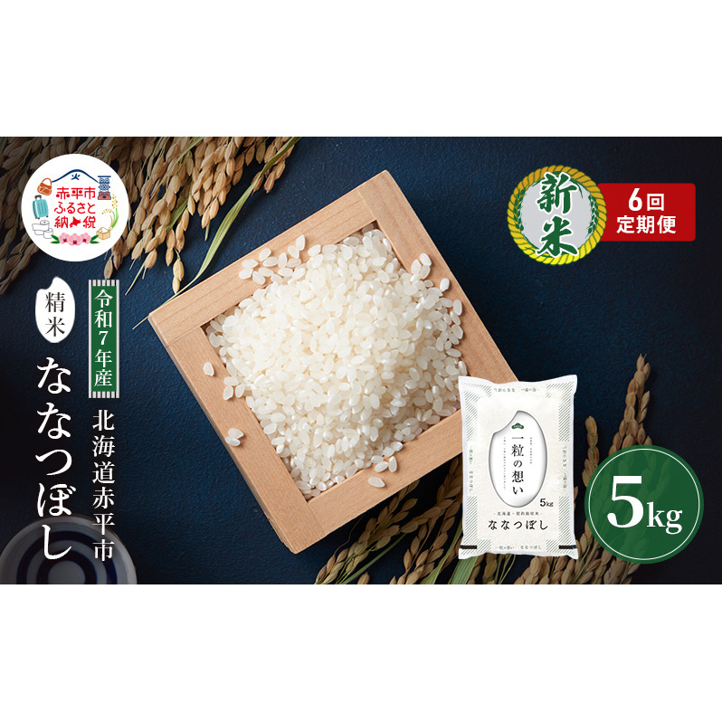 定期便6回 連続 お届け 令和7年産 北海道 赤平産 ななつぼし 5kg 白米 精米 米 北海道 ごはん ご飯 ライス おにぎり 定期便 定期 お楽しみ 6回