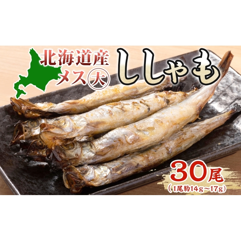 北海道産ししゃもメス大30尾 北海道 稀少 魚シシャモ メス おつまみ 魚貝類 干物 本物 人気 希少 塩 味付け 脂のり 旨み 美味しい 大きい