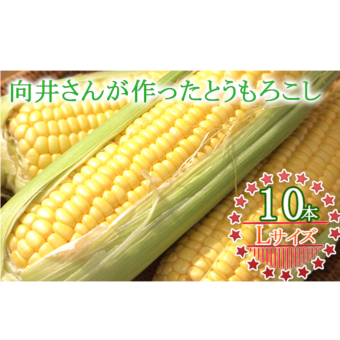 向井さんが作ったとうもろこし［Lサイズ10本］※8月下旬より順次出荷 野菜 
