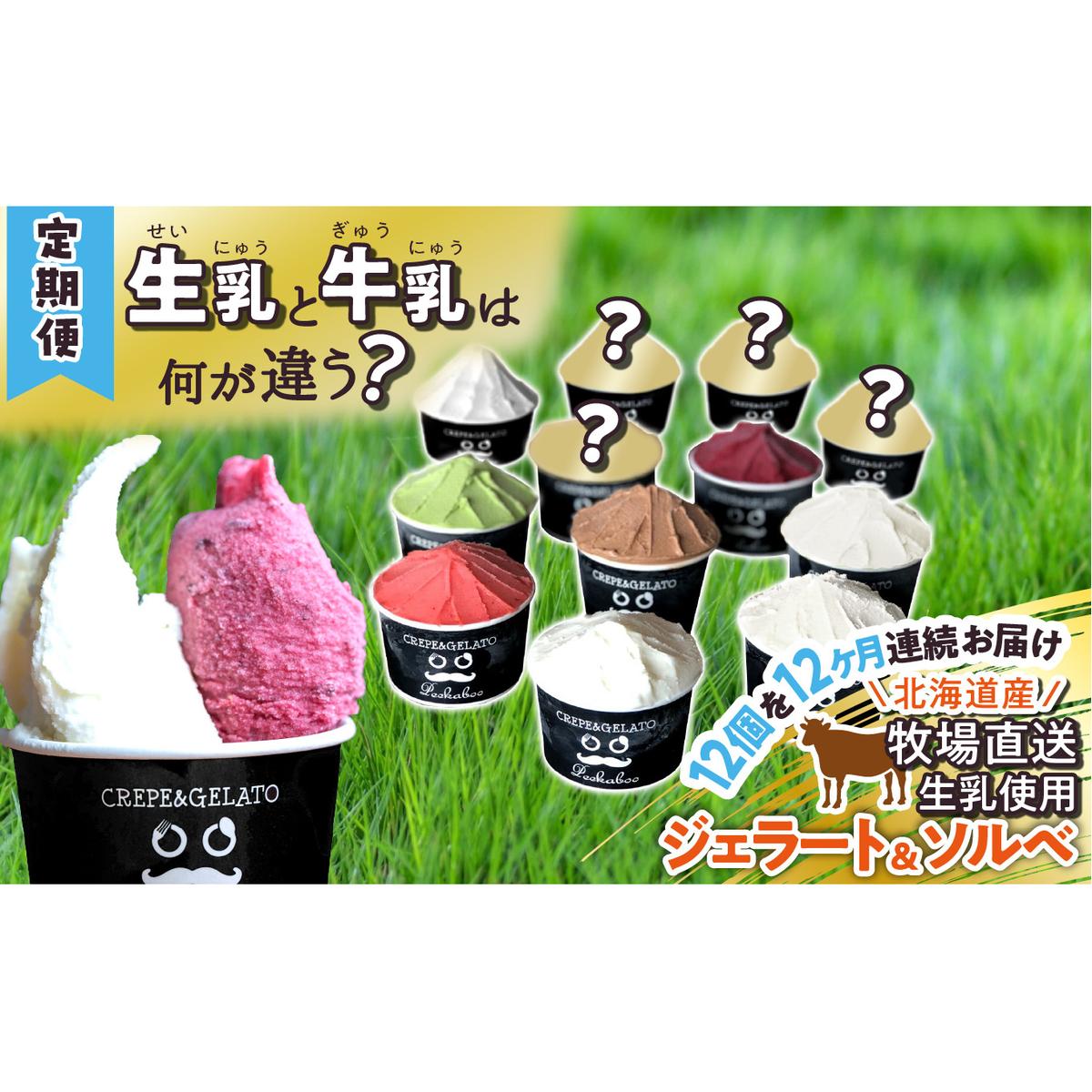<12ヶ月定期便>北海道産 生乳 ジェラート アイス 毎月12個  詰め合わせ ジェラートセット