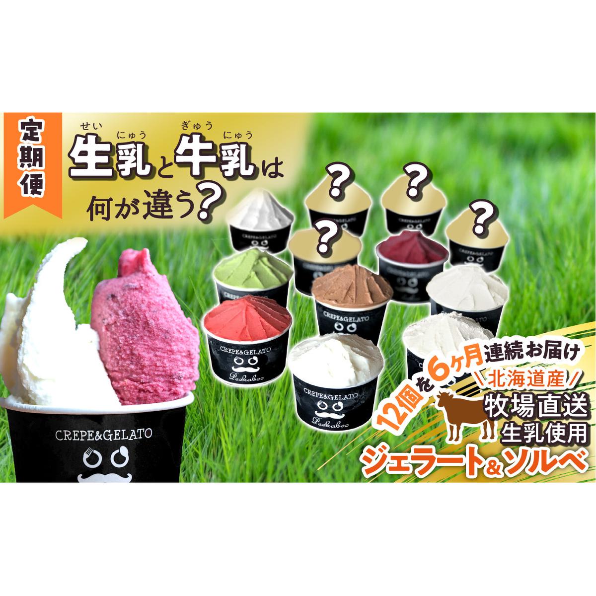 <6ヶ月定期便>北海道産 生乳 ジェラート アイス 毎月12個  詰め合わせ ジェラートセット