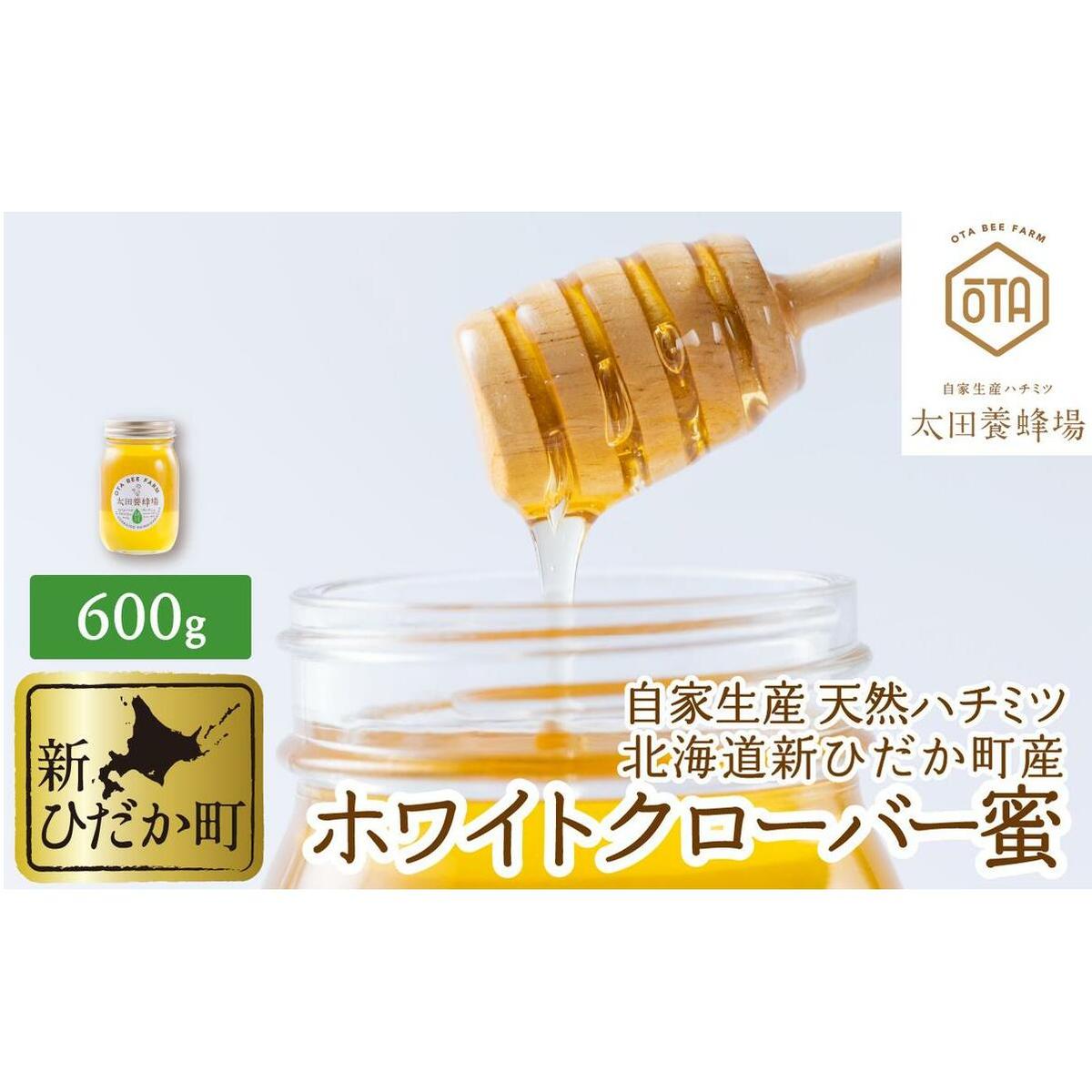 北海道産 天然 はちみつ ホワイトクローバー蜜 600g