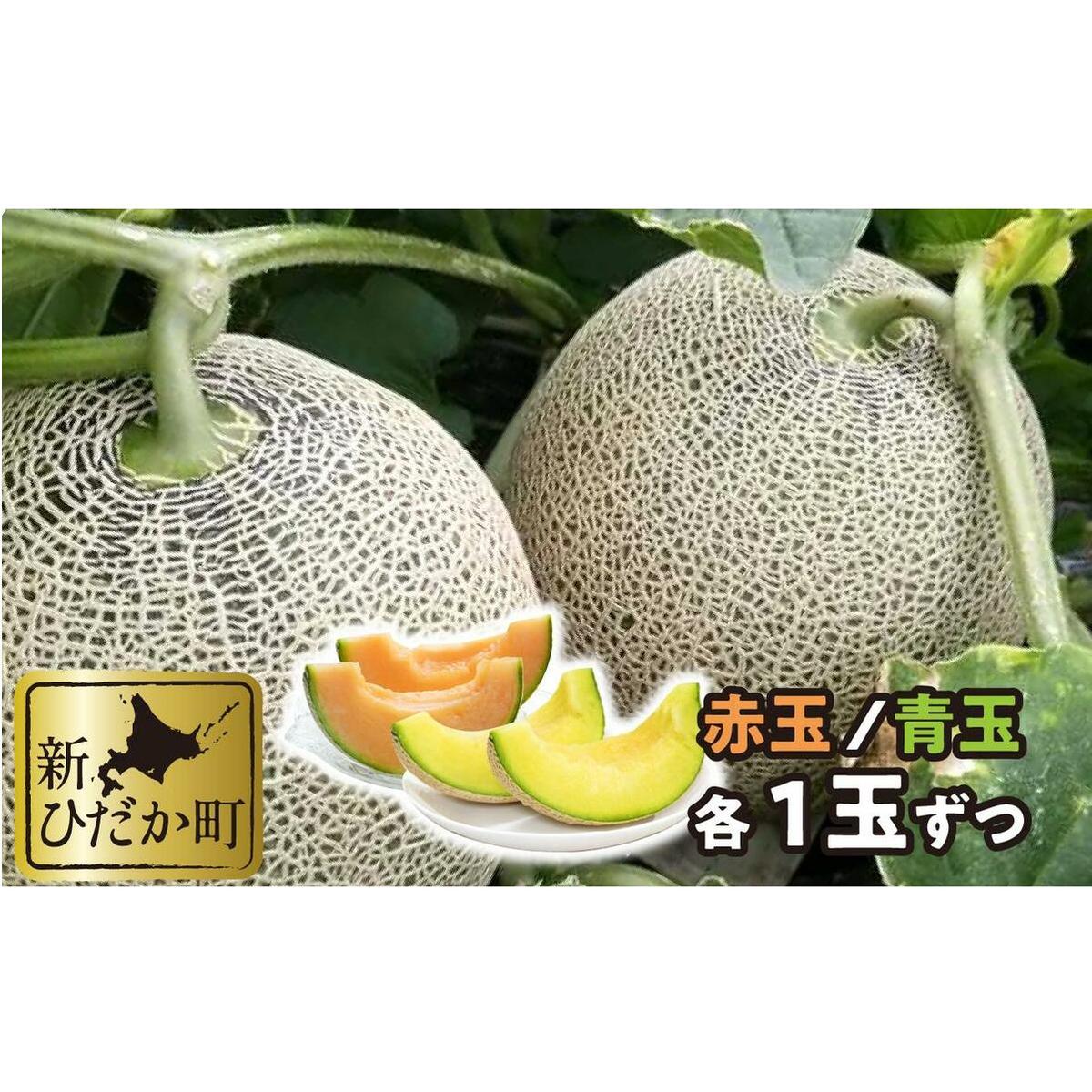 ＜ 2025年7月中旬より発送 ＞ 北海道産 メロン 赤肉 青肉 各1玉 食べ比べ セット ＜ 予約商品 ＞