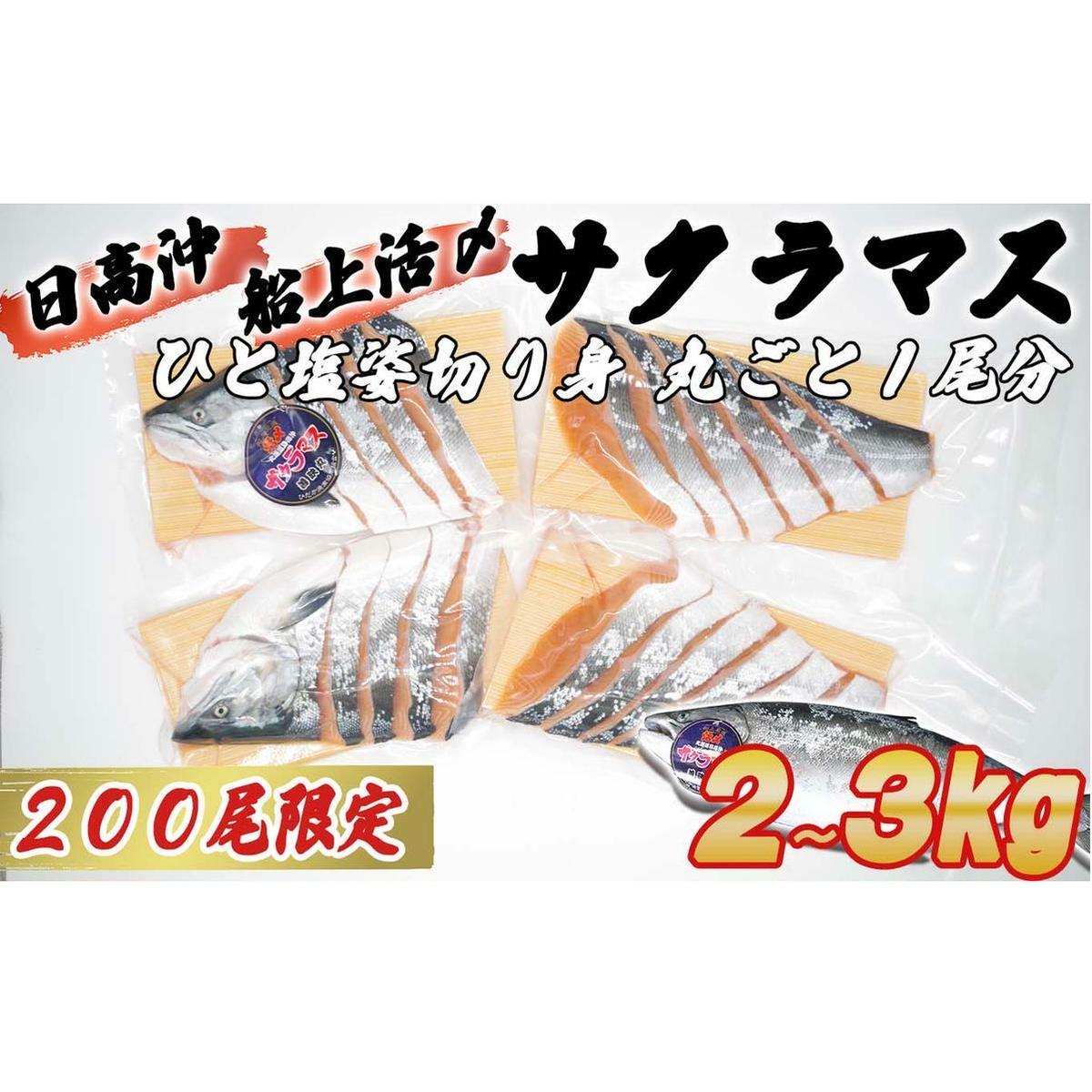＜3月31日までの受付＞ 北海道産 サクラマス ひと塩 姿切り身 2kg ～ 3kg まるごと 1尾 期間限定