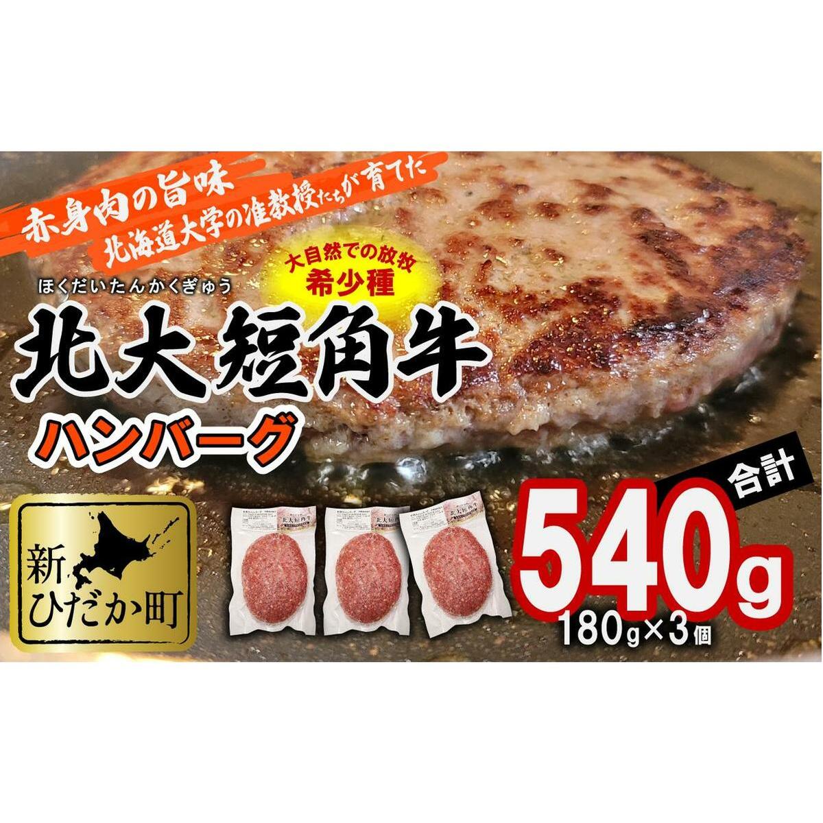 北海道産 北大 短角牛 ハンバーグ 計 540g (180g×3枚)