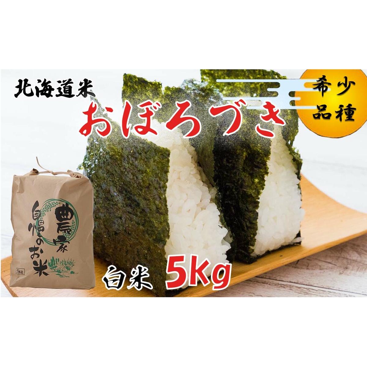 ＜ 10月中旬から順次発送 ＞ 新米 令和7年度産 北海道米 おぼろづき 白米 5kg 北海道 新ひだか町 ＜ 予約受付 ＞