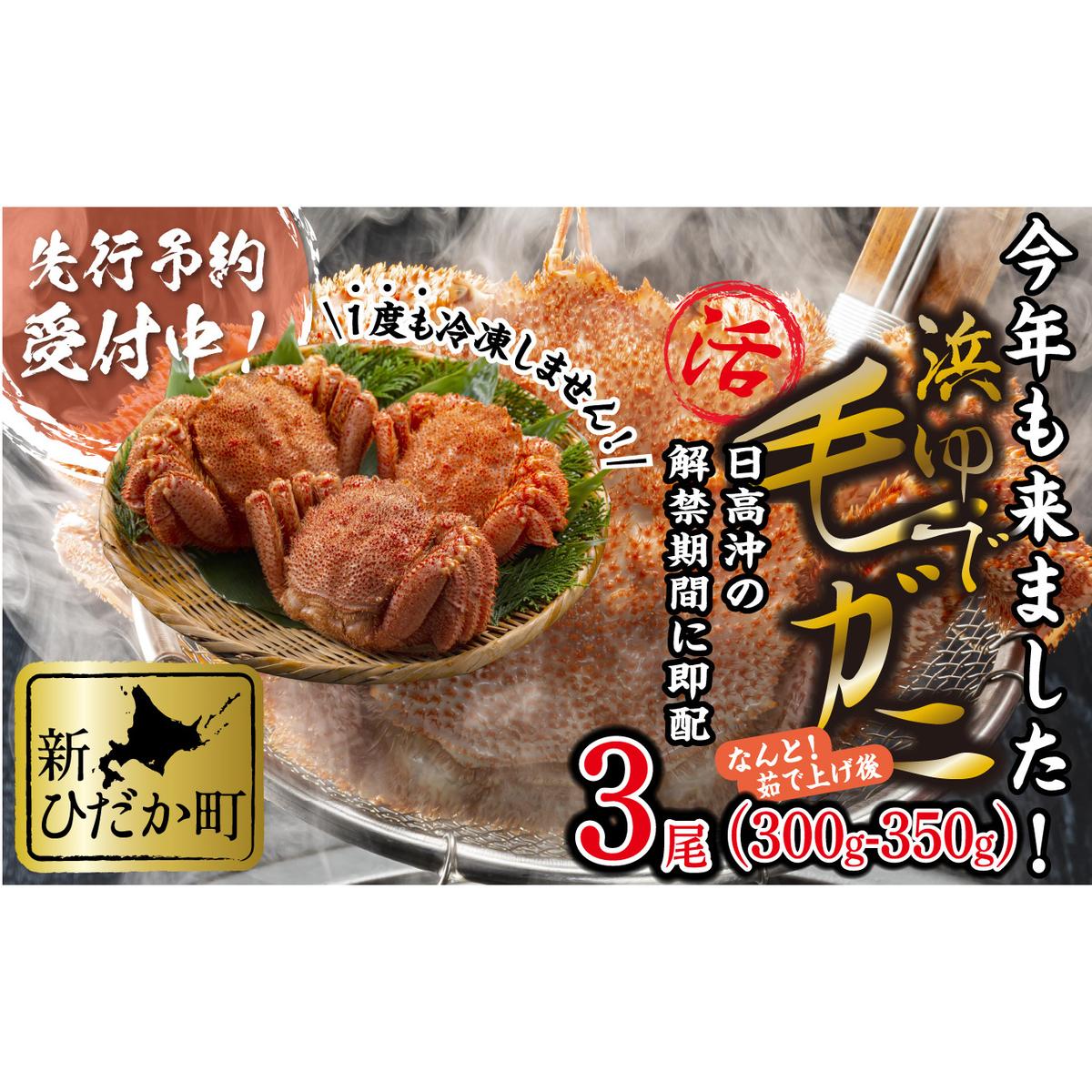 ＜2026年2月中旬から順次発送＞ 北海道産 かに 浜ゆで 毛がに 3尾 計 900g 以上 ＜予約商品 ＞ 毛蟹 毛ガニ 北海道 冷蔵 毛蟹 毛ガニ けがに かに 蟹 カニ かに味噌 カニ味噌 新鮮 旬 ボイル 浜茹で 海鮮 海産物 新鮮 旬 魚介 蟹味噌 みそ 新ひだか町