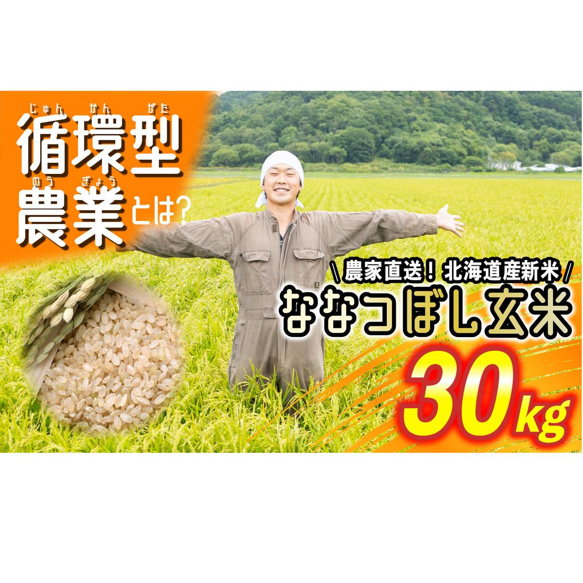 ＜2024年9月より発送＞ 北海道米 新米 ななつぼし玄米 30kg （ 10kg × 3袋 ） 循環型農業 ＜ 予約商品 ＞ 令和6年度米 お米 米 こめ 北海道米 北海道 新ひだか町 三石