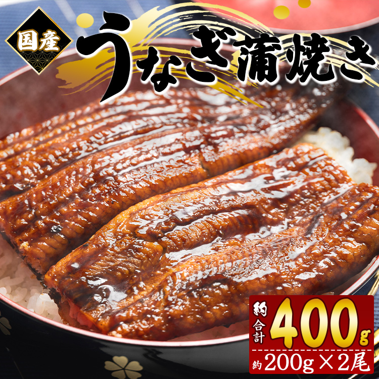 フジ物産 国産養殖うなぎ蒲焼き 約200g×2尾(愛知県産鰻) 鰻 ウナギ かばやき fb-0138