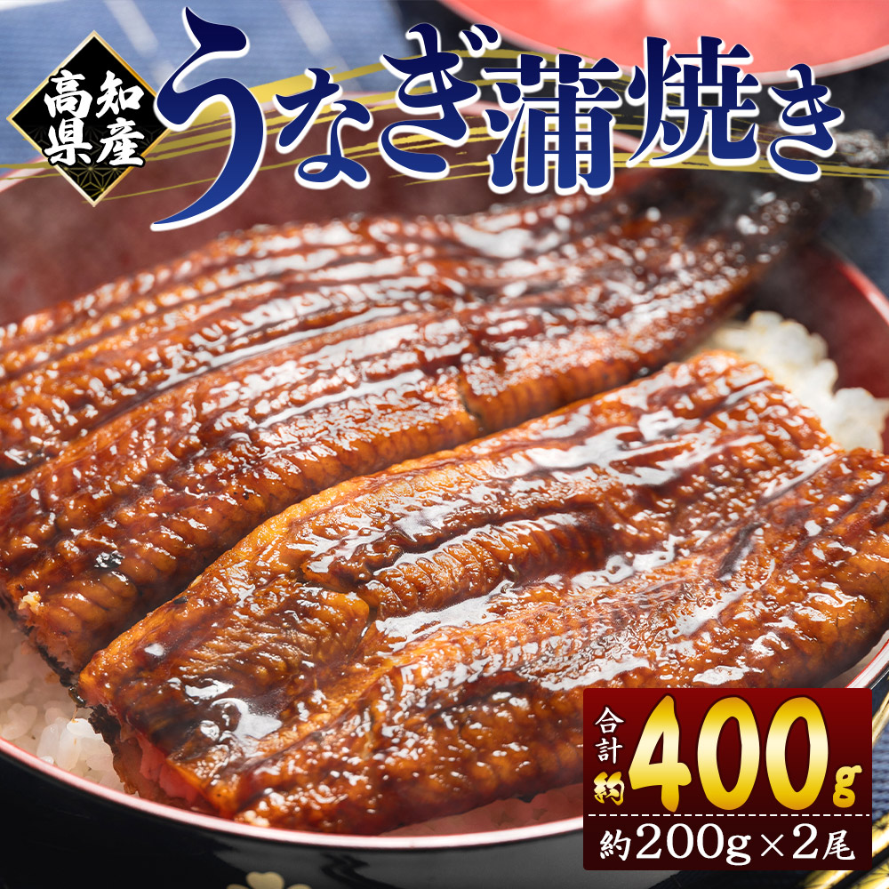 うなぎ蒲焼き 約200g×2尾 国産 高知県産 養殖 - 鰻 ウナギ かばやき 土用の丑の日 fb-0139