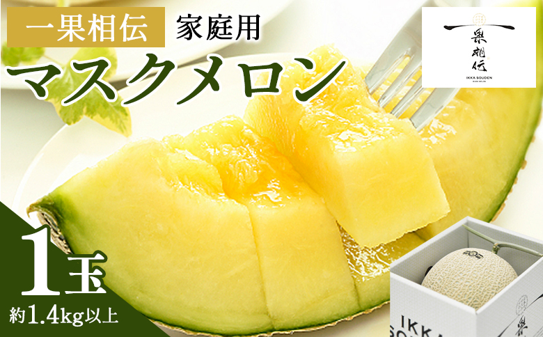 マスクメロン 家庭用 1玉入り フルーツ メロン青肉