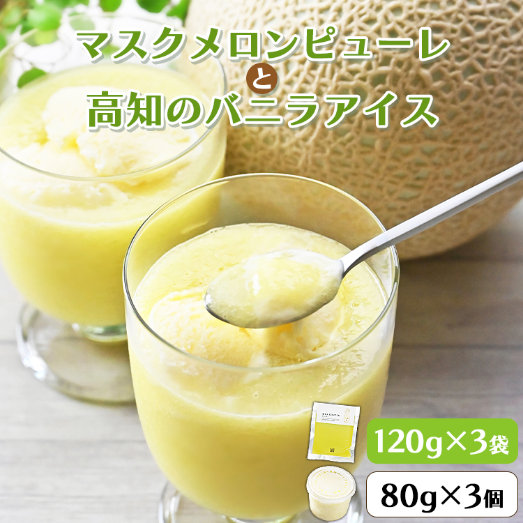 ピューレ メロンピューレ バニラアイスクリーム 3個セット 青肉 アイス 「めざましどようび キクエがキクヨ!」で特集 JALファーストクラス機内食に採用 マスクメロンピューレと高知のバニラアイス - 果物 くだもの めろん 果実 果汁 tn-0028
