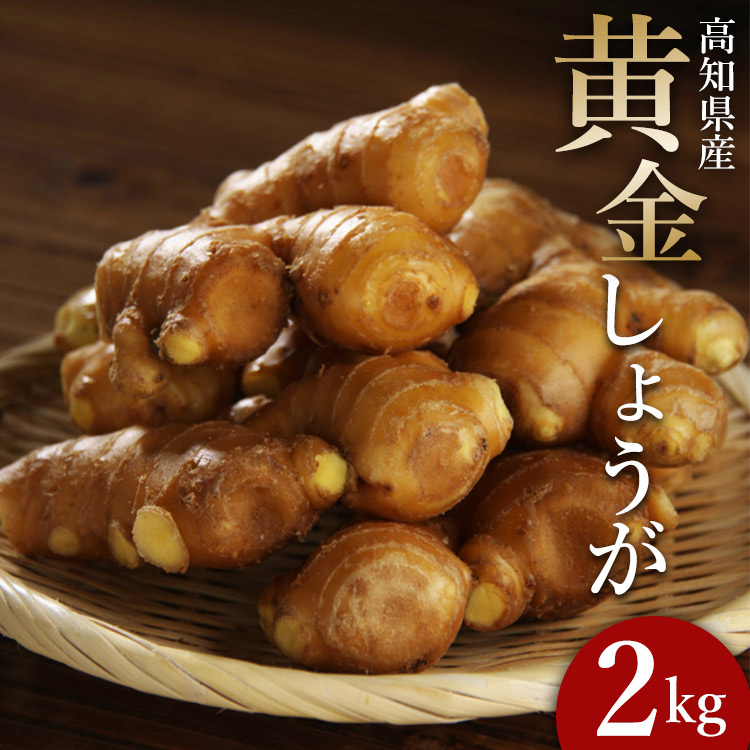 生姜一筋70年の生姜老舗問屋 黄金しょうが2kg - 生姜 生産量日本一 おかず お料理 しょうが 料理 飲み物 Xnb-0007