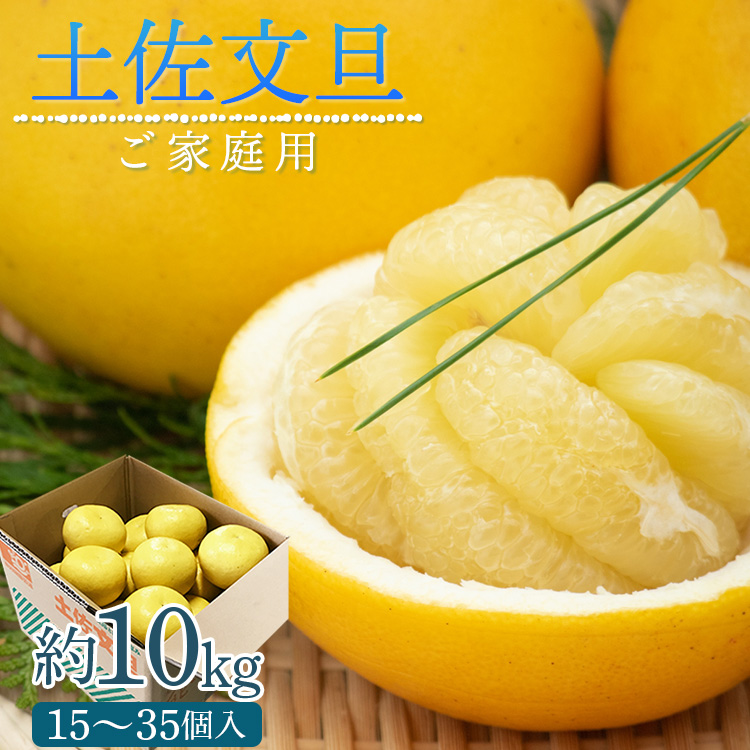 土佐文旦 約10kg 家庭用 訳あり M～4L 高知県 大玉 小玉 10キロ - 訳アリ 傷 果物 文旦 ぶんたん ブンタン フルーツ 柑橘 香南市産 高知県 数量限定 期間限定 季節限定 旬 常温 10000円以上 1万円以上 ku-0047