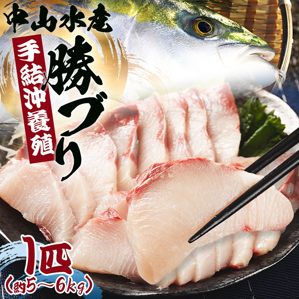 中山水産 手結沖養殖「勝ブリ」 1匹(5kg~6kg) ny-0010