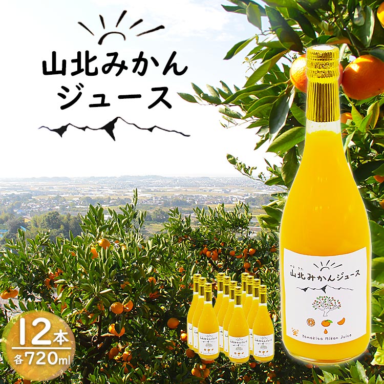 山北みかんジュース 720ml×12本 - 果汁100% 高知県産 ブランドみかん 温州みかん ストレートジュース 果物 フルーツ 柑橘 オレンジ yk-0053