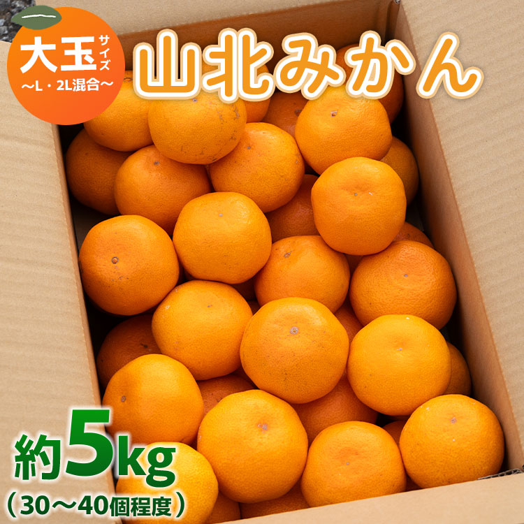 山北みかん 大玉サイズ L・2L混合 約5kg(30~40個程度) 山北みらい - 果物 フルーツ 柑橘類 温州みかん ミカン 蜜柑 甘い おいしい 美味しい 高知県 香南市 yk-0045