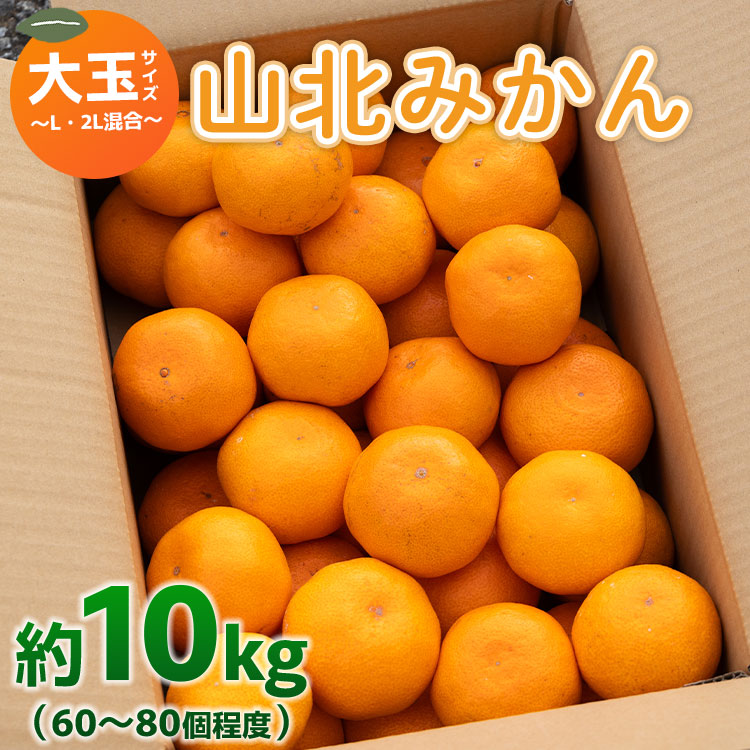 山北みかん 大玉サイズ(L,2Lサイズ) 10kg 約60~80個入り 甘い - 果物 フルーツ 柑橘類 温州みかん ミカン 蜜柑 甘い おいしい 美味しい 山北みらい 高知県 香南市 yk-0049
