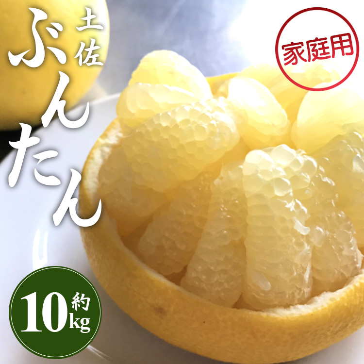 訳あり 土佐文旦 約10kg (家庭用)(2L〜4Lサイズ) - 高知産 柑橘 フルーツ 文旦 ぶんたん ブンタン ザボン 果物 ms-0080