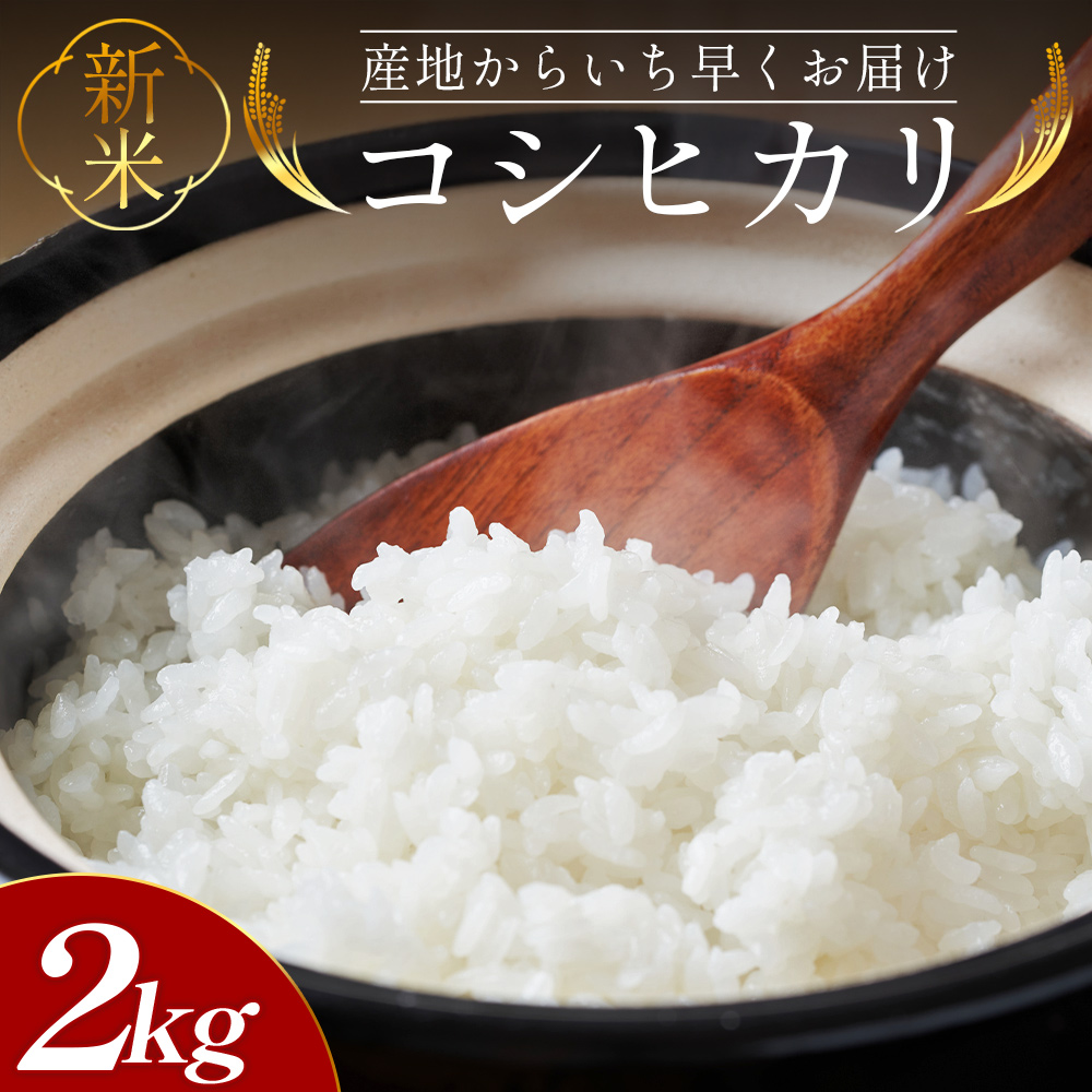 新米コシヒカリ 2kg - 新米 お米 おこめ 国産 米 精米 ひのひかり ごはん 白米 ご飯 おにぎり おむすび 料理 調理 防災 非常食 備蓄 高知県 香南市 常温 at-0031