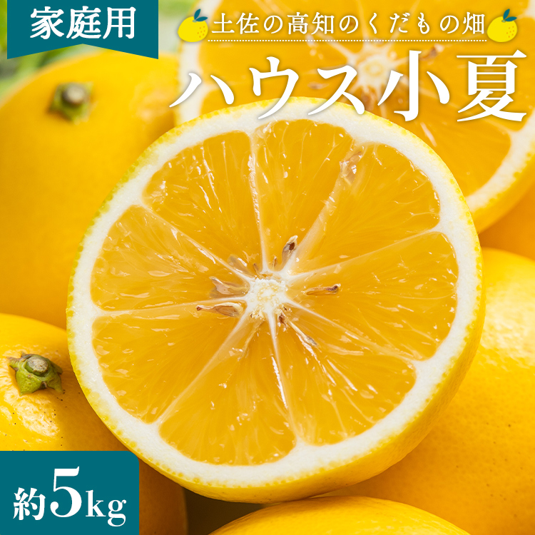 【2026年出荷分】小夏(日向夏) 5kg 訳あり 高知 家庭用 土佐 ハウス小夏 訳あり こなつ 果物 フルーツ 土佐の高知のくだもの畑 【先行予約】 - 柑橘 おいしい 国産 甘い kd-0030