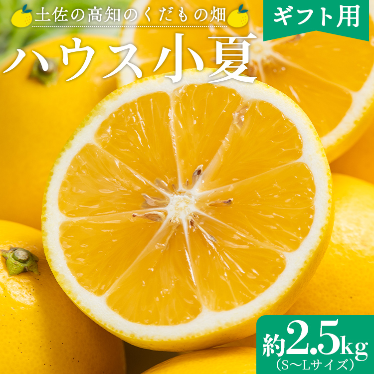 [2026年出荷分][日向夏]ハウス小夏 2.5kg(ギフト用) 高知 土佐 こなつ 果物 フルーツ 土佐の高知のくだもの畑 [先行予約] - ミカン みかん 蜜柑 柑橘 ハウス 果物 フルーツ こなつ 贈答用 贈り物 のし対応可 熨斗 国産 kd-0031