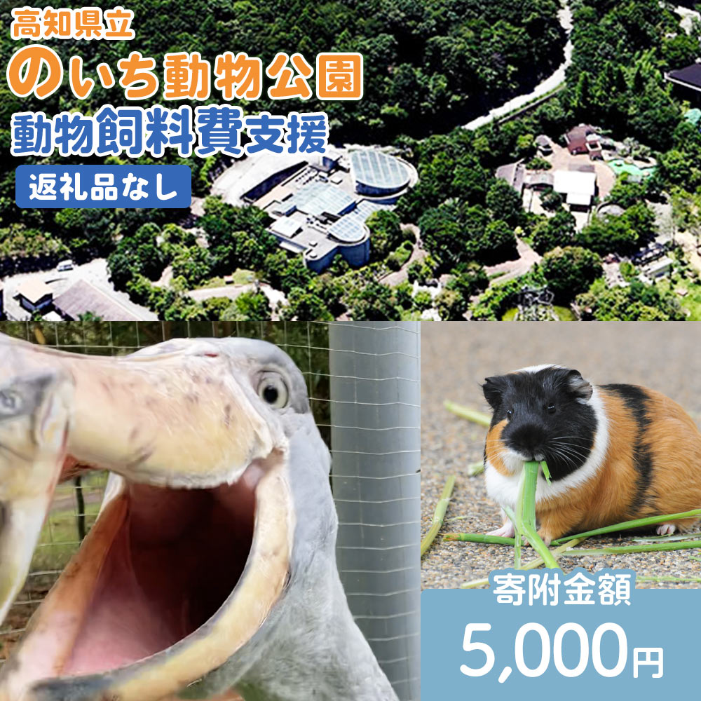 高知県立のいち動物公園 動物支援(飼料費支援) 返礼品なし 5,000円 ni-0005-施設 動物園 飼育 えさ 餌 ごはん アニマル 支援寄附のみの応援受付 寄付のみ 高知県 香南市 Rni-0012