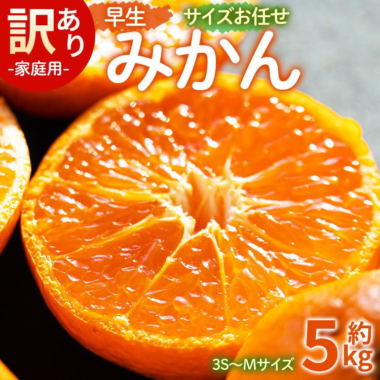 訳あり(家庭用) サイズお任せ 早生みかん 5kg 3S～Mサイズ - 訳アリ フルーツ 果物 くだもの 果実 甘い あまい 酸味 蜜柑 ミカン 柑橘 ご自宅用 旬 季節 かなや農園 合同会社Benifare 国産 特産品 高知県 香南市 常温 be-0099