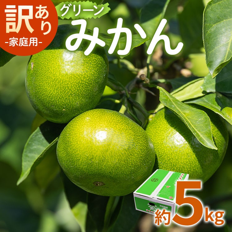 家庭用 訳あり グリーンみかん 約5kg - 送料無料 ミカン 蜜柑 柑橘 果実 ご自宅用 旬 かなや農園 合同会社Benifare 柑橘類 すっぱい 早生 わせ 爽やか さわやか さっぱり わけあり 訳アリ 特産品 高知県 香南市 be-0067