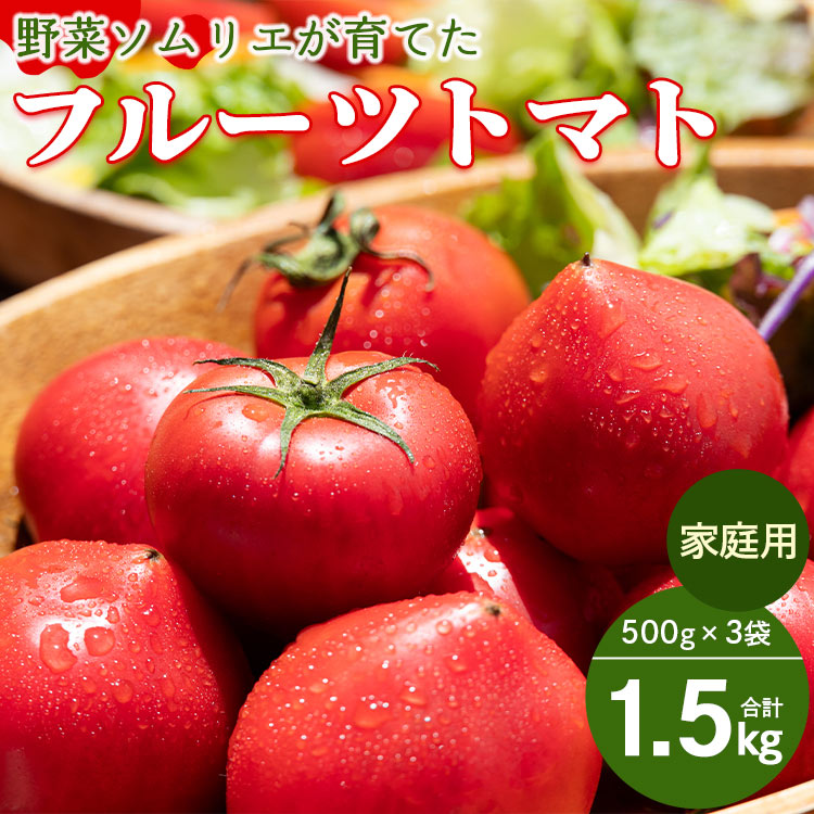 家庭用 野菜ソムリエが育てた フルーツトマト 500g×3袋 合計1.5kg mj-0021