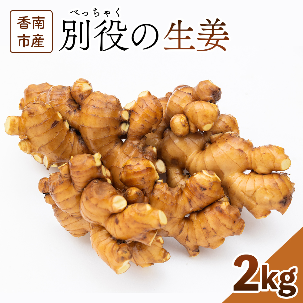 生姜 2kg 香南市産 別役の生姜 bc-0014