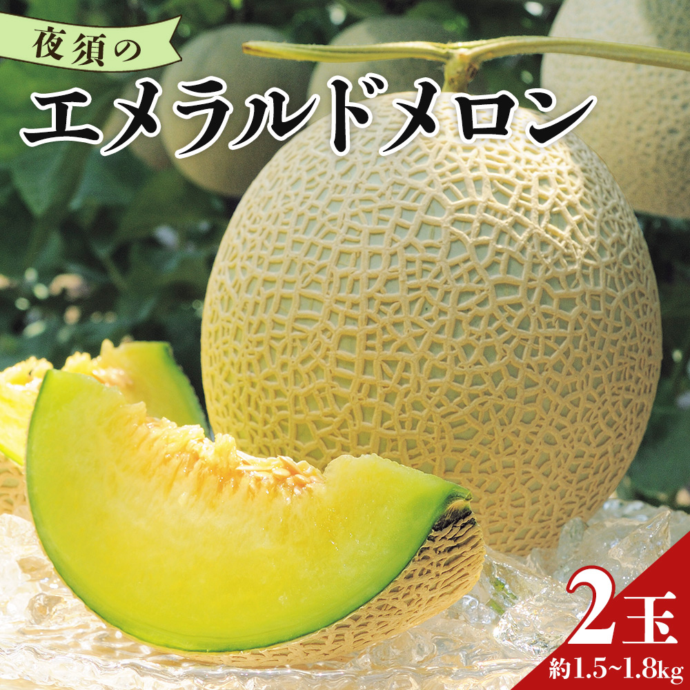 【発送開始】美しいネットとしっかり甘い果実 夜須のエメラルドメロン 2玉(1.5kg〜1.8kg×2個)- メロン 青肉 ギフト 贈答 のし デザート おやつ おすそ分け 高知県 香南市 yu-0025