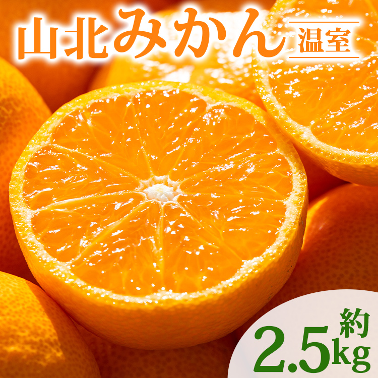 [2026年発送分]山北温室みかん2.5kg 秀品 ハウスみかん 果物 柑橘類 蜜柑 糖度高め フルーツ ku-0051