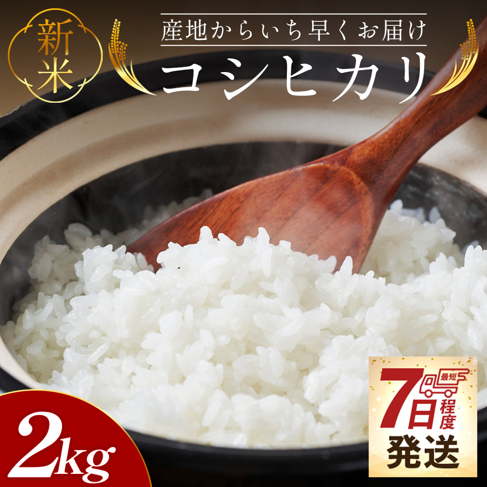 [7日程度で発送]新米 令和7年産 コシヒカリ 2kg - お米 おこめ 国産 米 精米 こしひかり ごはん 白米 ご飯 おにぎり おむすび 料理 調理 防災 非常食 備蓄 早い すぐ届く 早く届く スピード配送 スピード発送 高知県 香南市 at-0041